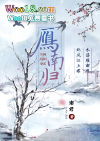 雁南归电视连续剧全部