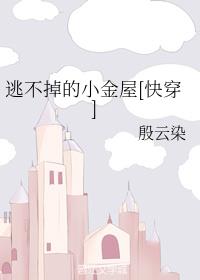 逃不掉的小金屋小说