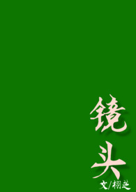 镜头校正按钮
