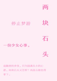 两块石头盆栽的鱼缸造景